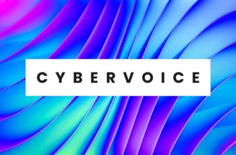 https://console.cybervoice.io