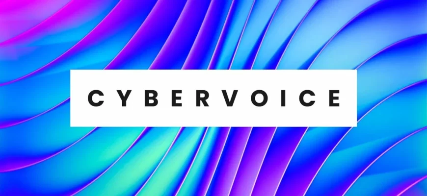 https://console.cybervoice.io